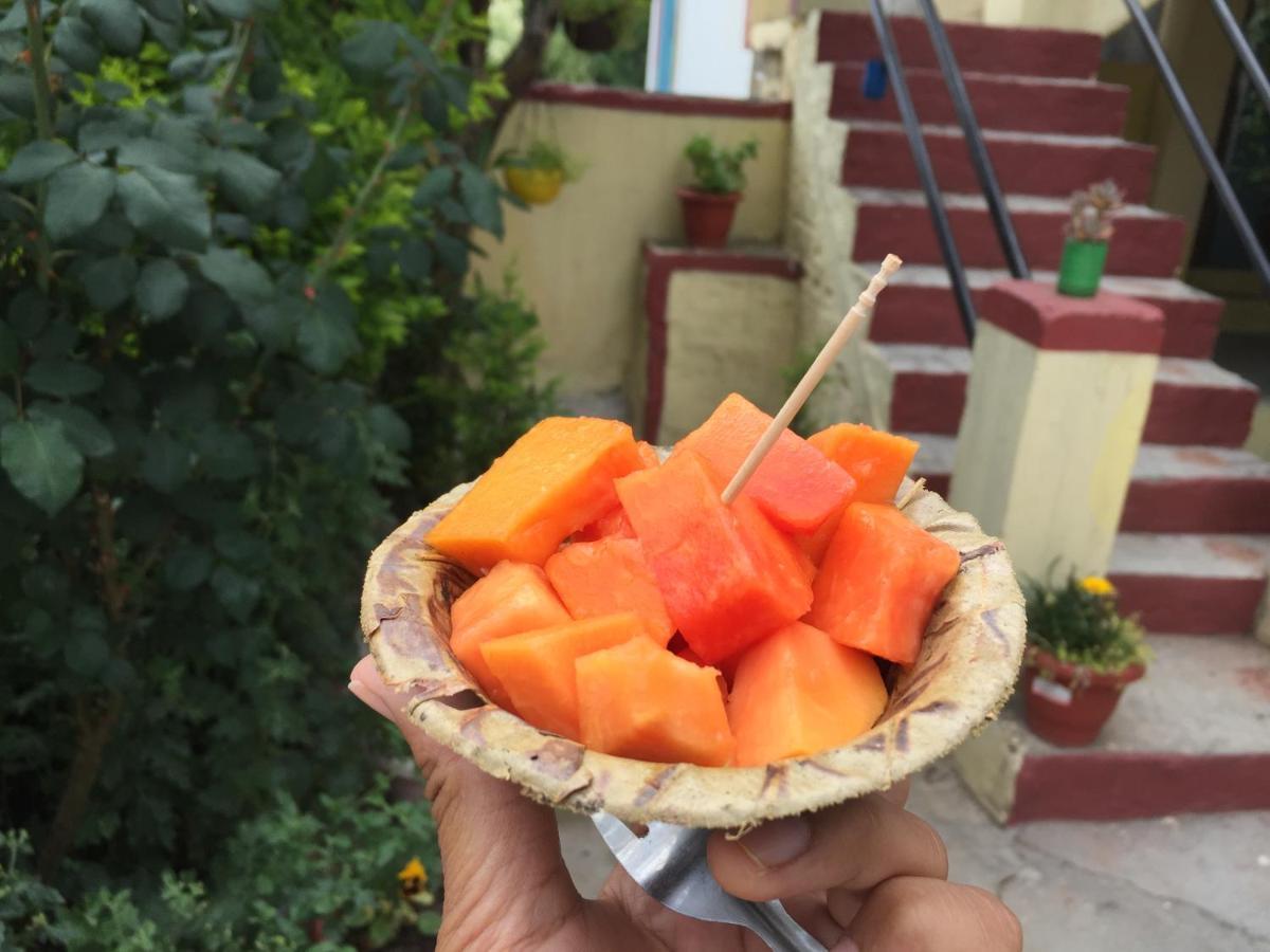 Katyuri Kings Divine Stay- Babaji'S Cave Dwarahat Ngoại thất bức ảnh